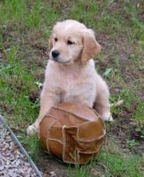 Alojamiento - Hôtel Jenny