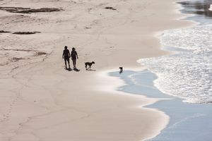 Alojamiento - Casa de Mita ... Quiet, Secluded, Fabulously Appointed and Over the Top Service!