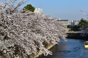 Alojamiento - Keikyu EX Inn Shinagawa Shimbamba