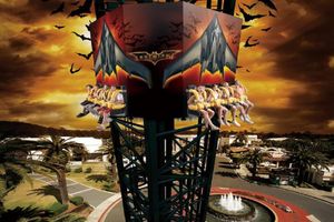 Actividad - Warner Bros. Movie World - Transfer Only