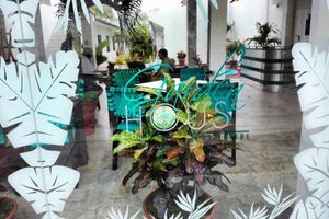 Alojamiento - Jungle House By Explorama