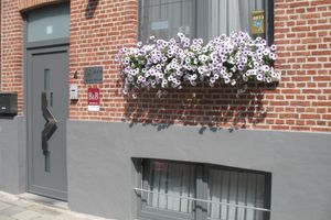Alojamiento - B&B Het Wit Beertje