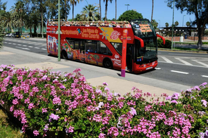 Actividad - Recorrido de 1 día en autobús turístico por Las Palmas