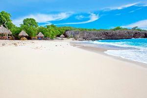 Pacote - Papagayo Beach Hotel