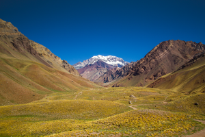 Actividad - Experiencia Aconcagua