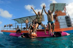 Actividad - Recorrido en semisubmarino para ver manatíes