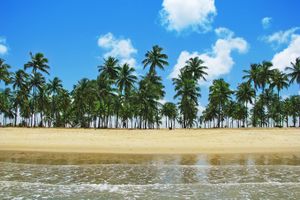 Pacote - Pacotes para Porto de Galinhas