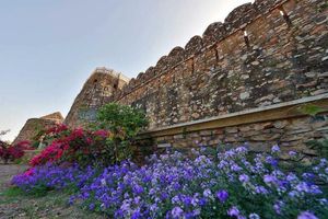 Alojamiento - Hotel Castle Bijaipur