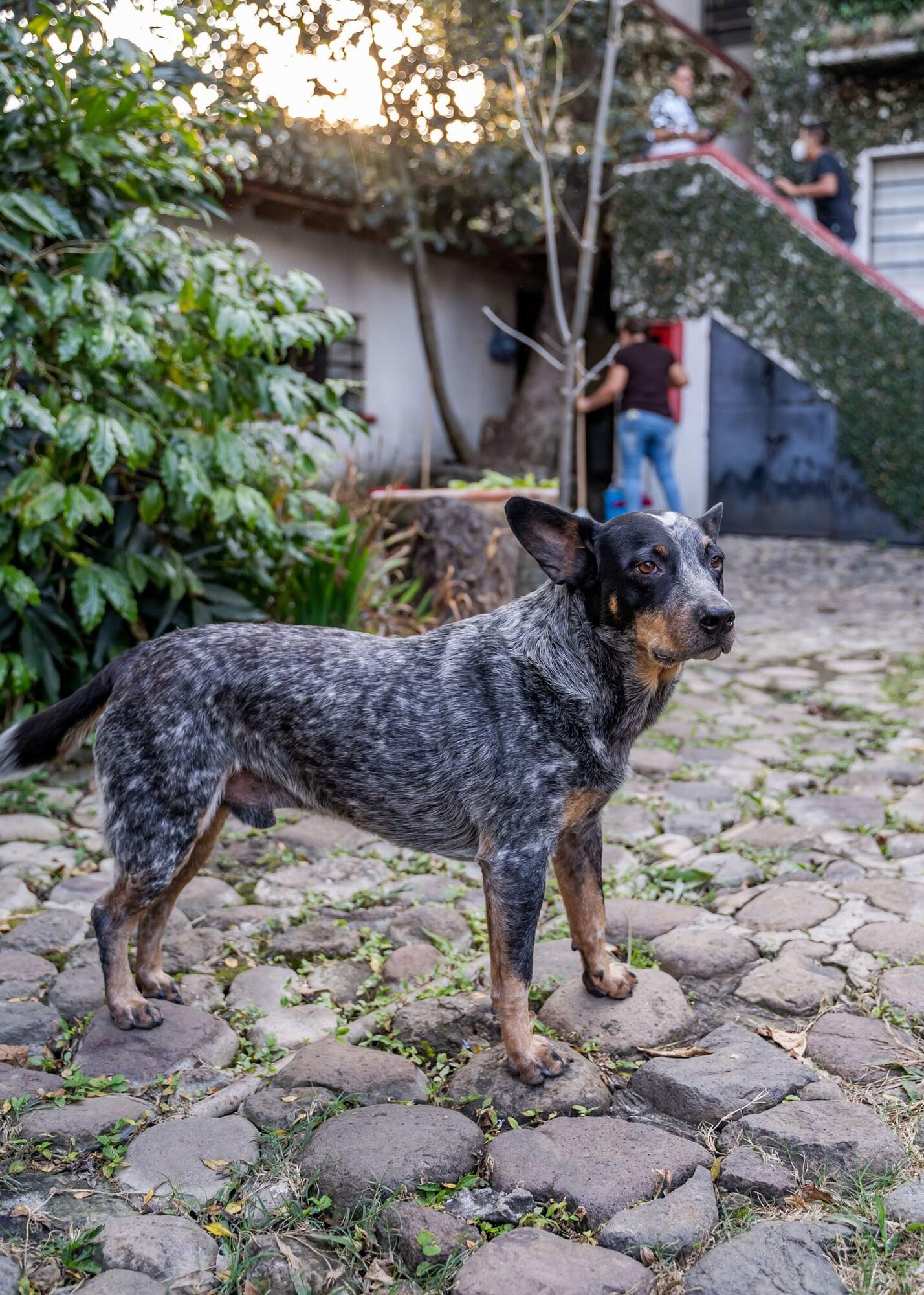 Comodidades del Alojamiento Milcoapa