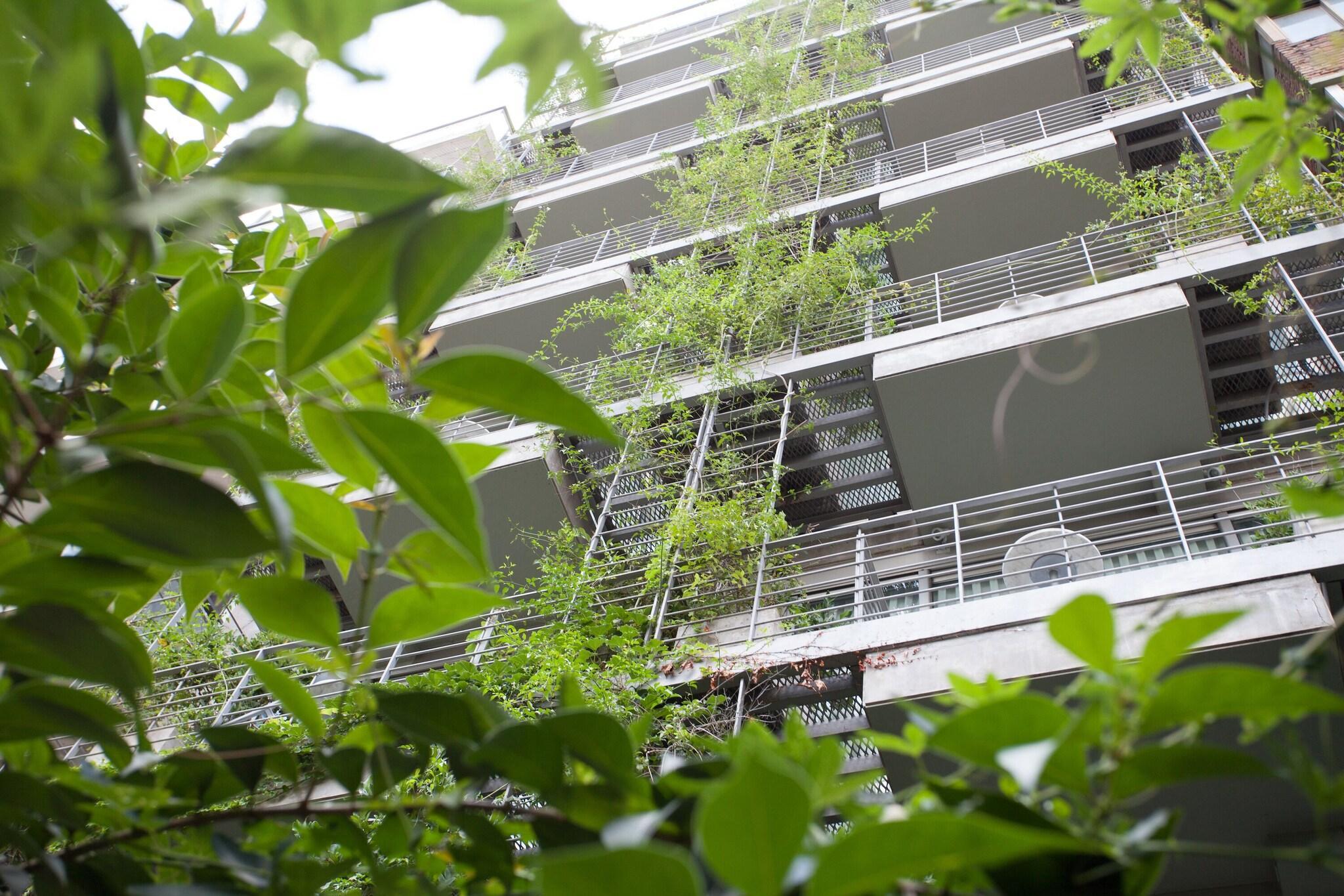 Vista Exterior Palo Santo Hotel