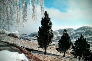 Alojamiento - Room in Studio - Vacation in Croatia's Countryside