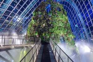 Activity - Gardens by the Bay - Ticket