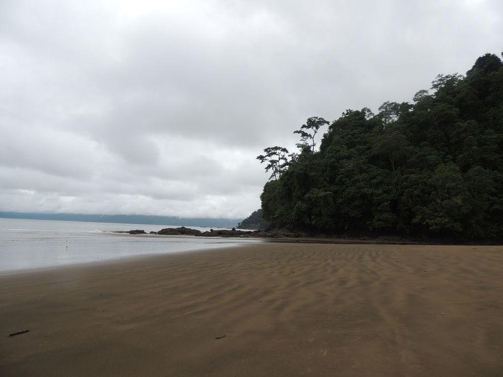 Playa Posada Los Delfines