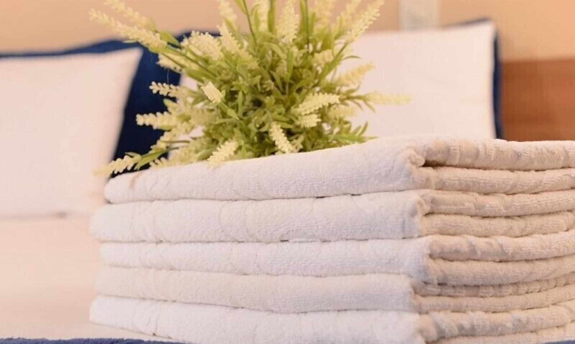 Equipamiento de Habitación Hotel Portal da Amazônia