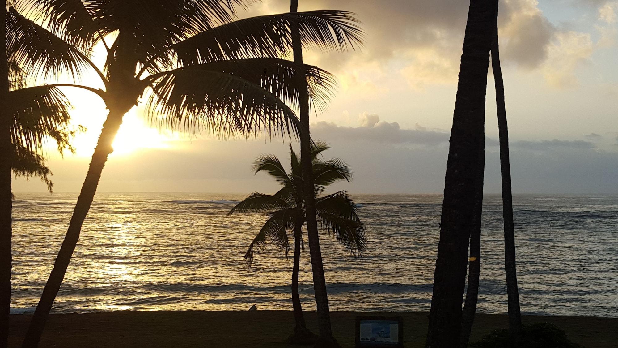 Playa Hotel Coral Reef