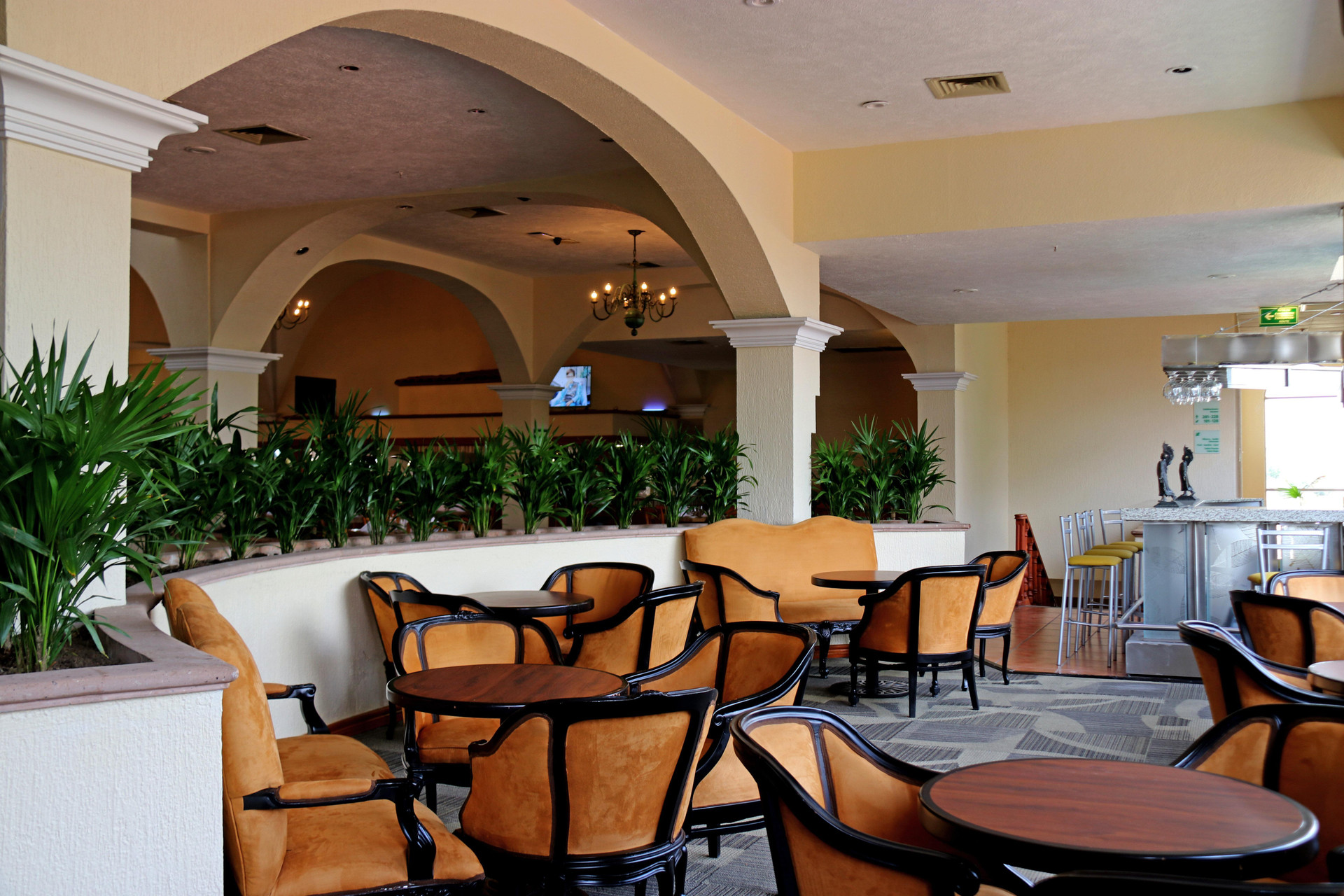 Bar/Salón Holiday Inn La Piedad