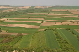 Alojamiento - Hotel Osijek