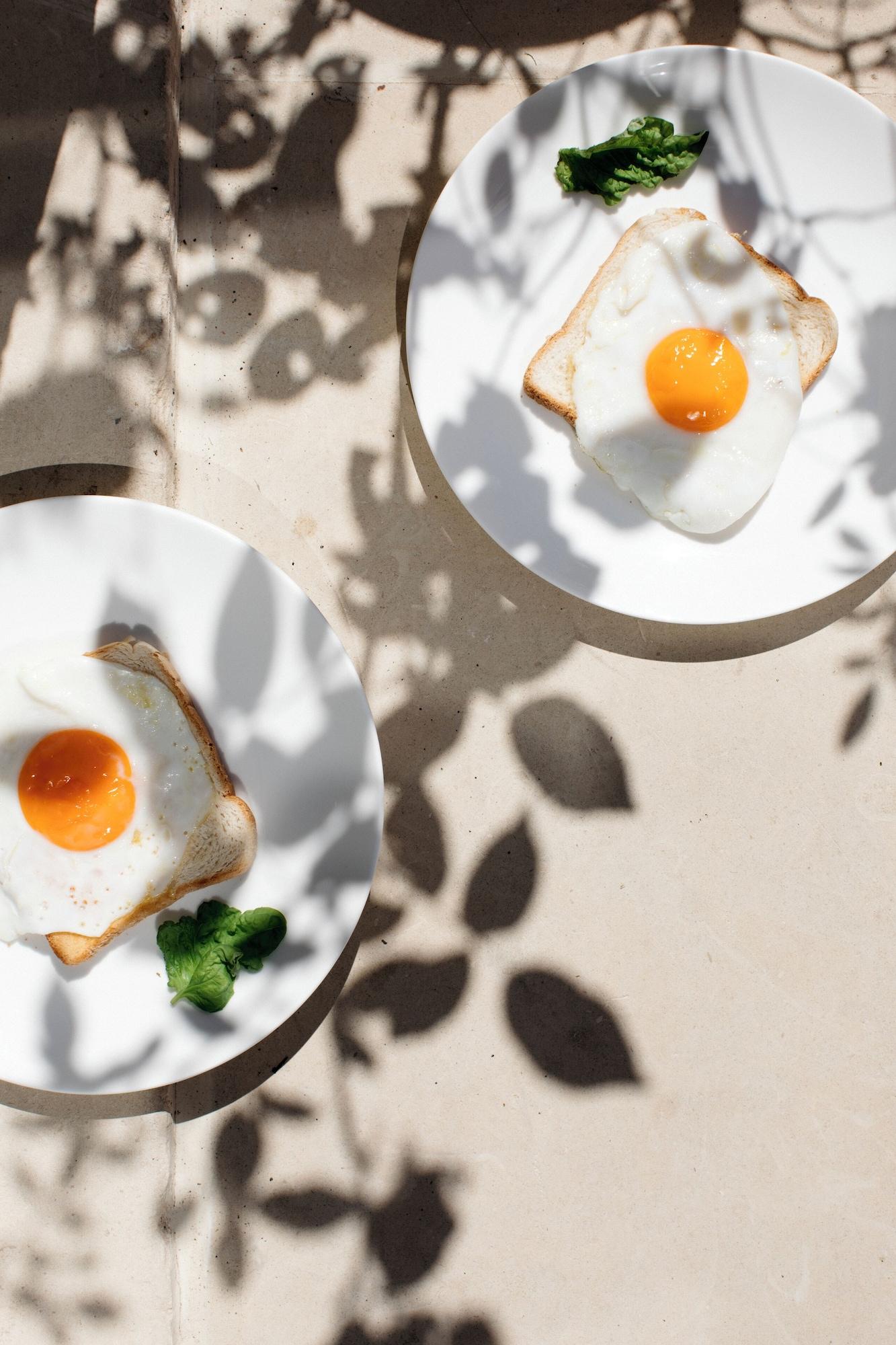 Restaurant Palazzo De Noha