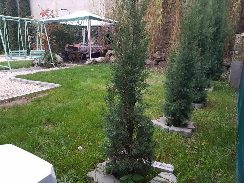 Restaurant Pensiunea Bergwald Rasnov by BuySellRent