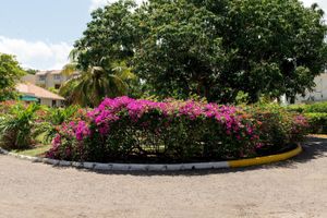 Alojamiento - Baywatch Beach at Montego Bay Club