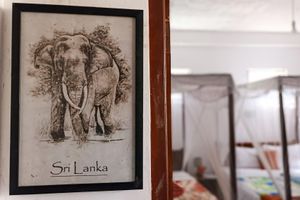 Alojamiento - Mount Crest Lodge