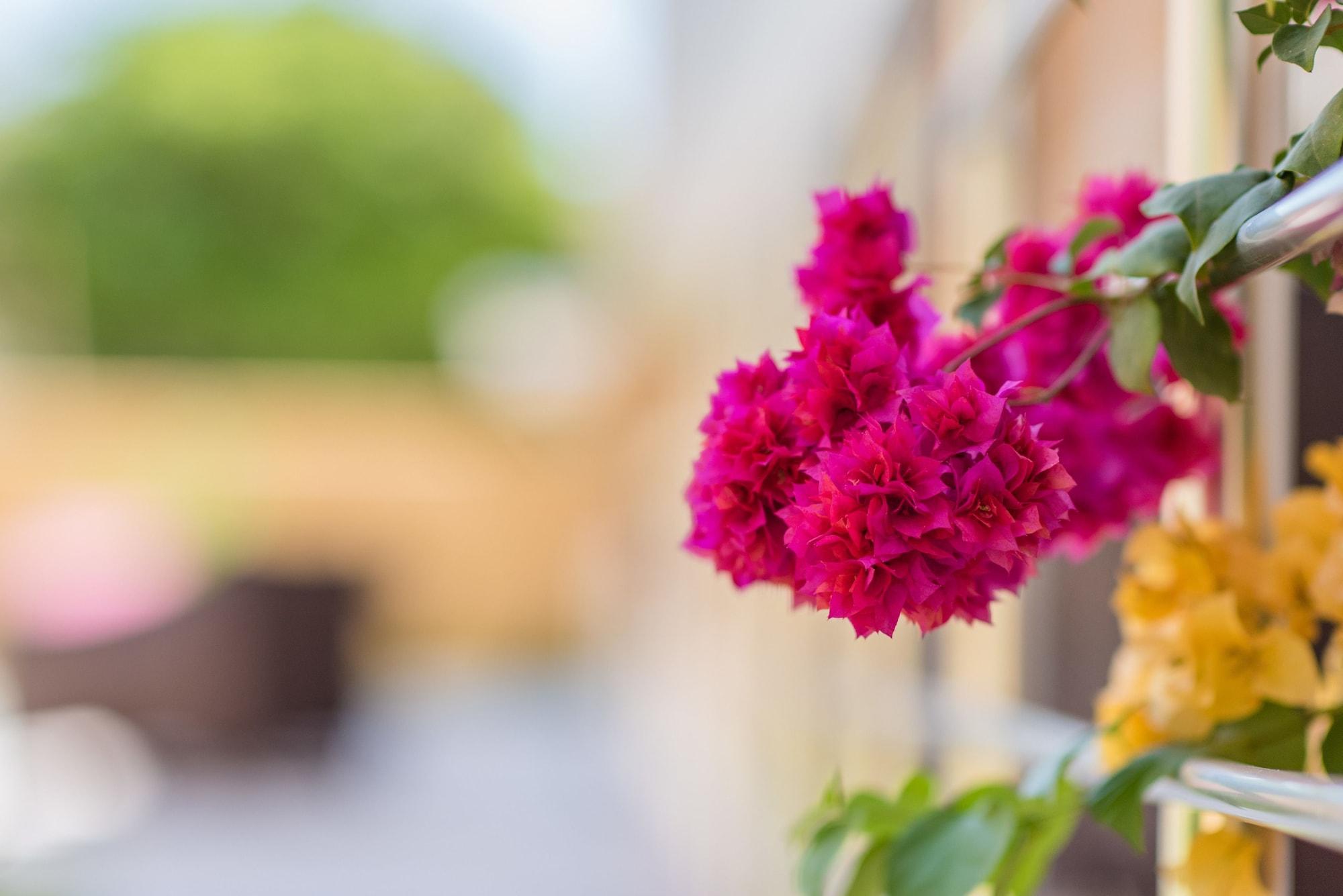 Vista Exterior The Green of Oysterbay