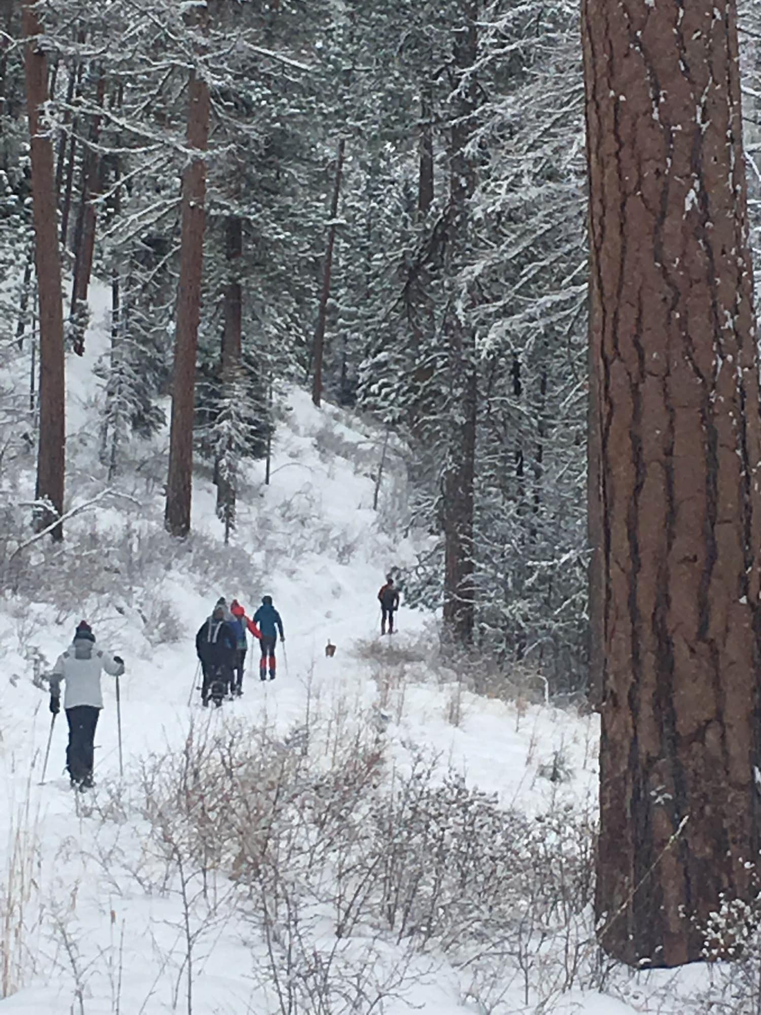 Instalaciones Recreativas City Center Motel