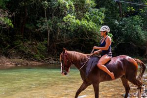 Actividad - Aventura a caballo