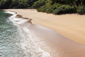 Actividad - Excursión a la isla Anchieta