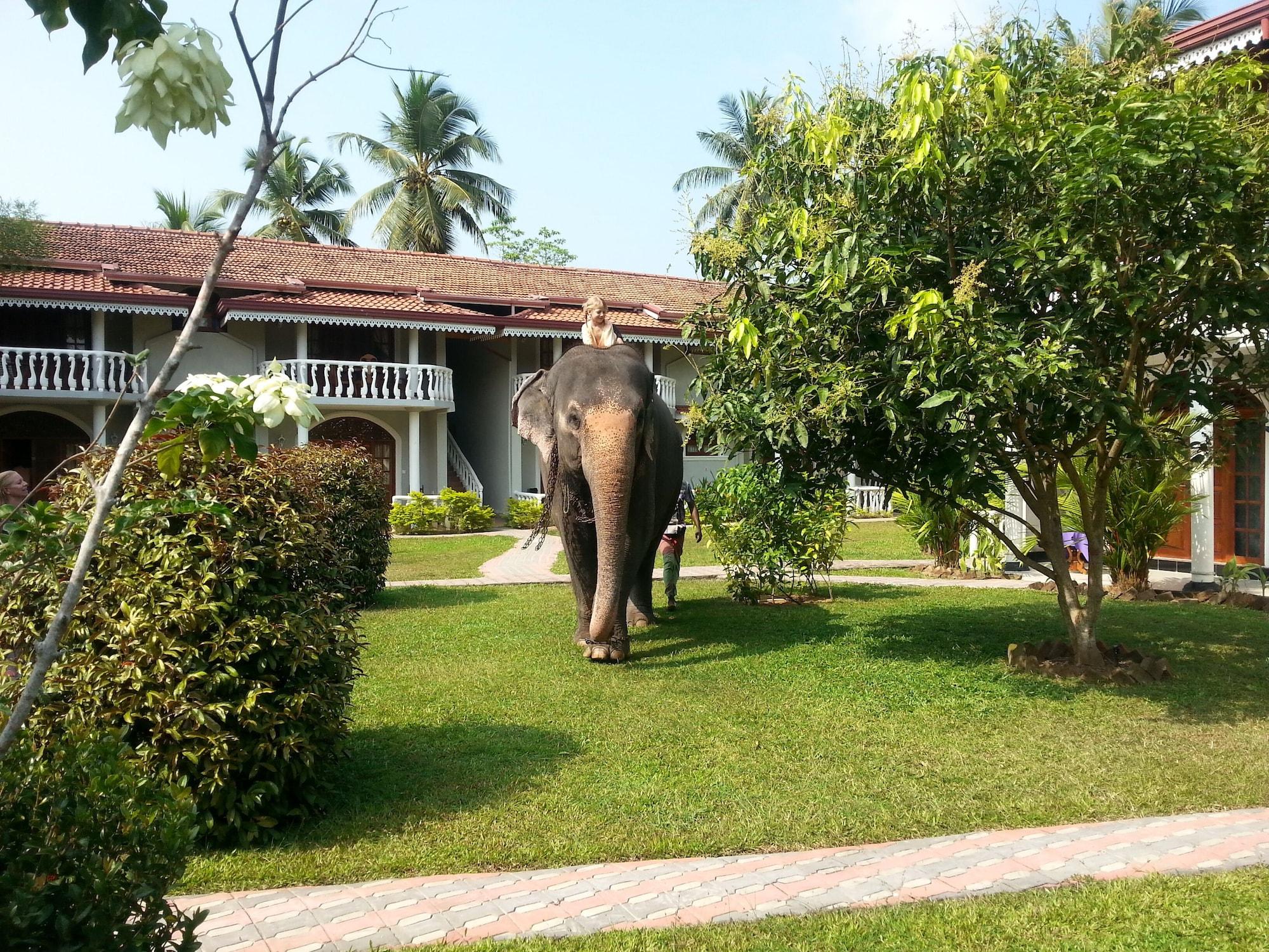 Vista Exterior Hotel Bougainvilla