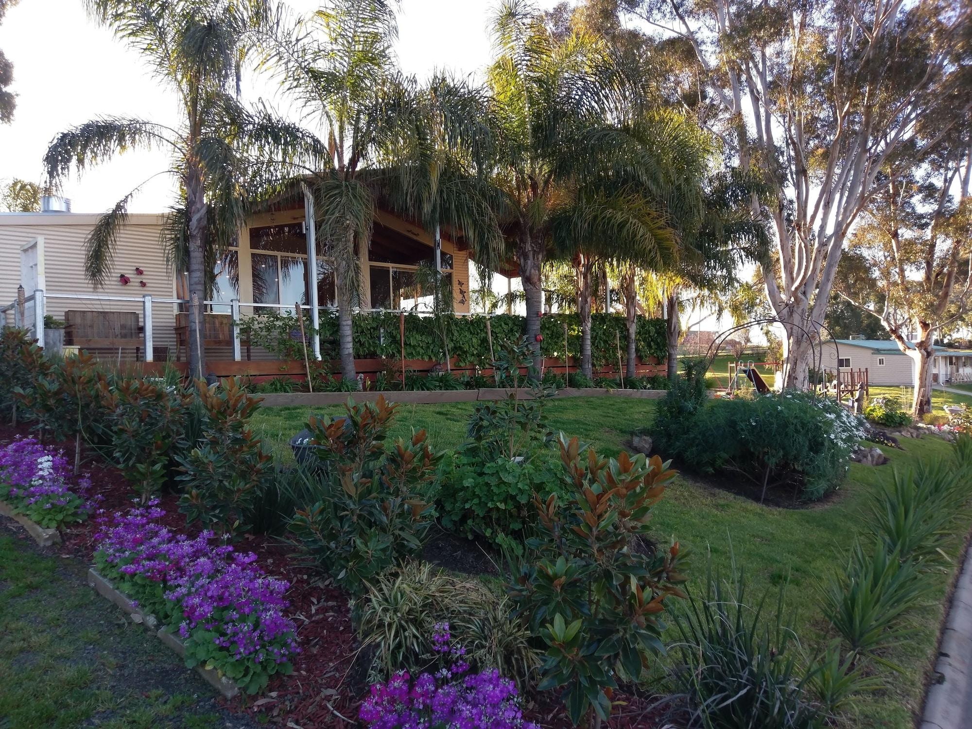 Bar/Salón Discovery Parks - Lake Hume, New South Wales