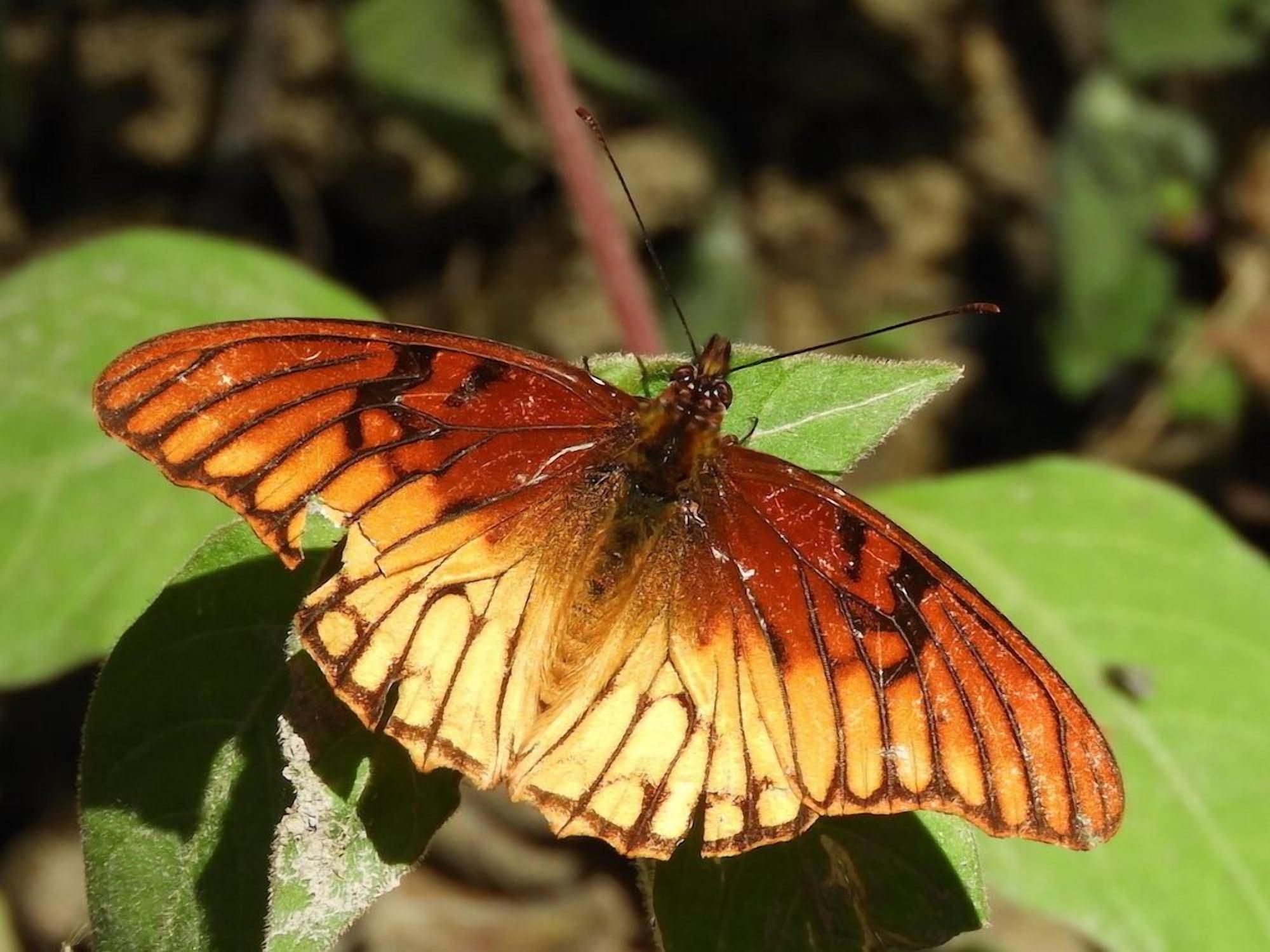 Equipamiento de Habitación Cabinas las Manzanas Bed y Breakfast