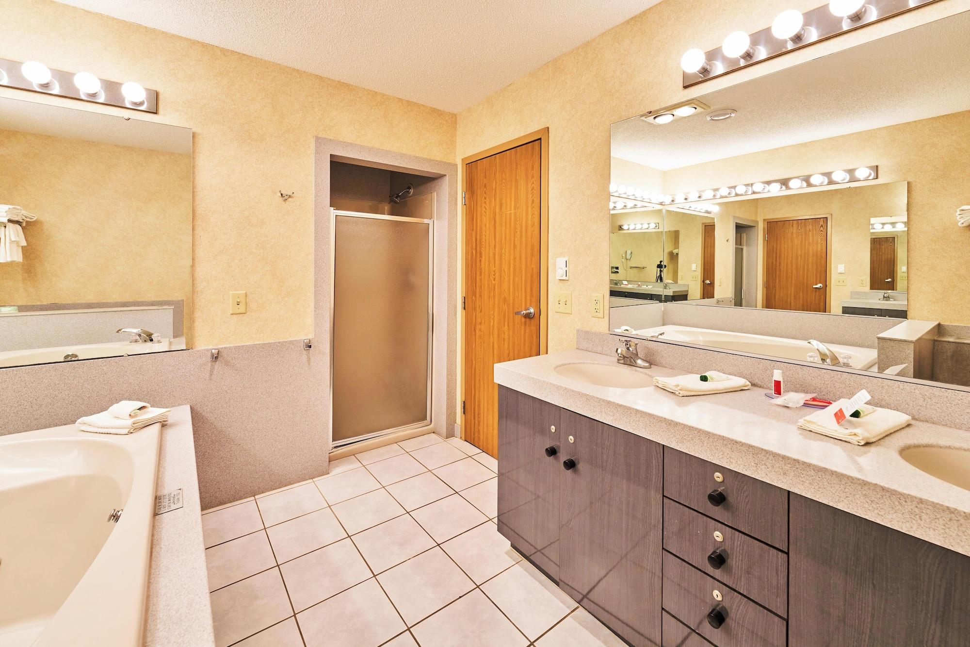 Equipamiento de Habitación Econo Lodge Maquoketa