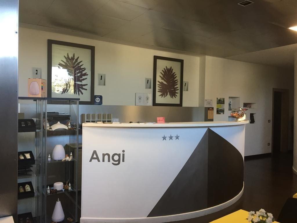 Vista Lobby Hotel Angi