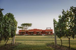Actividad - Degustación de vinos en Bodega El Legado, Carmelo.