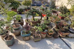 Alojamiento - lafite hotel