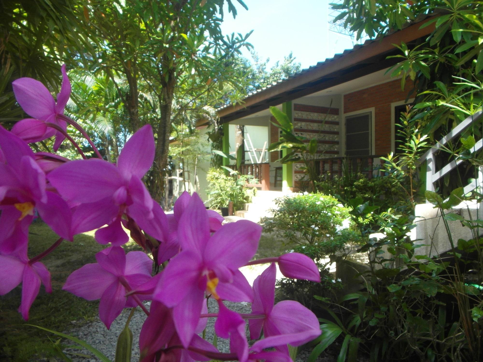 Vista Exterior Wandee Bed and Breakfast - Hostel