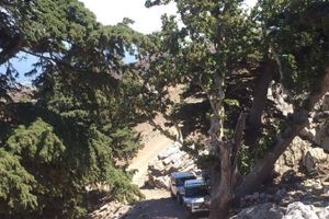 Actividad - Excursión en Land Rover Safari con almuerzo