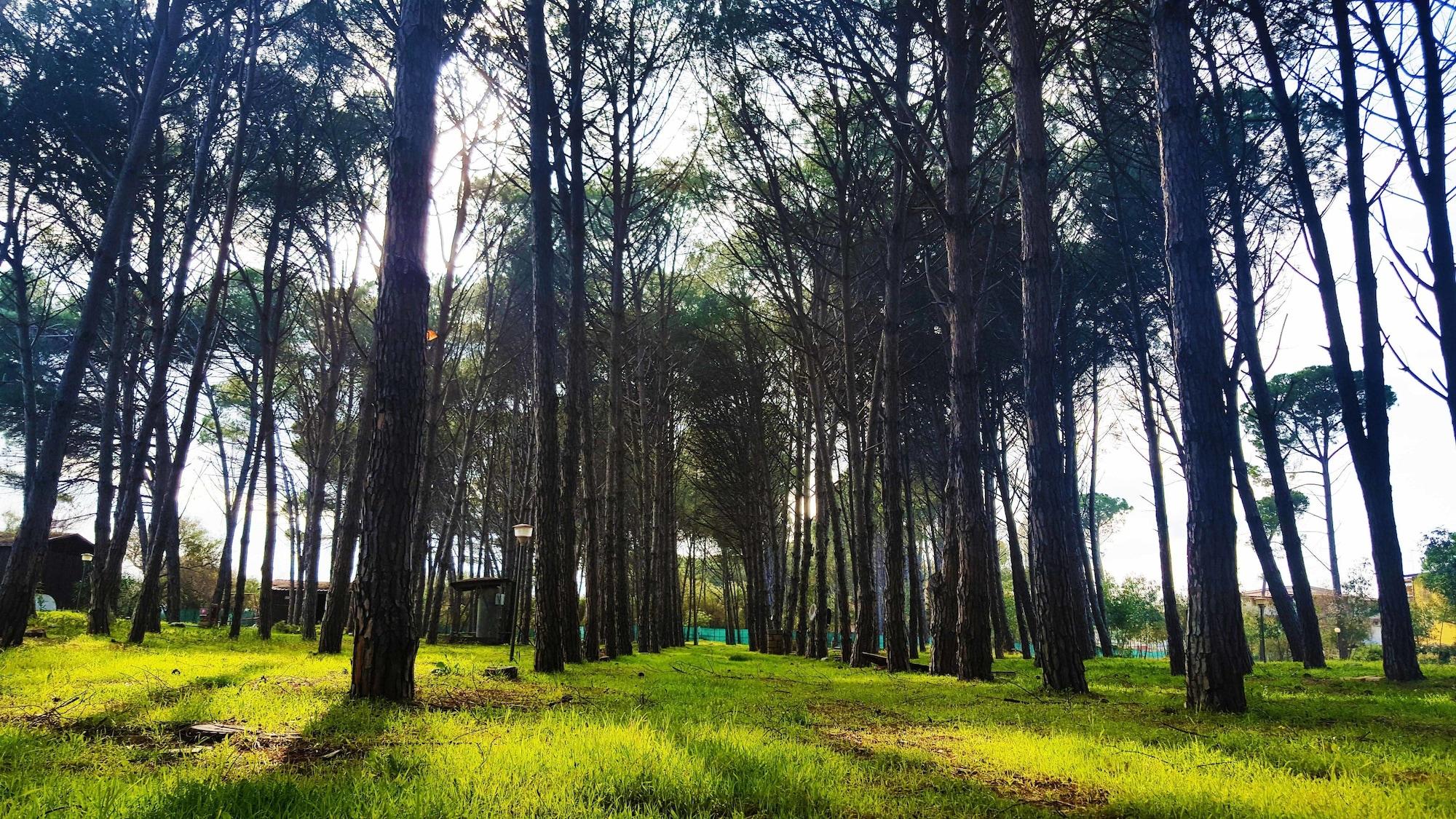 Comodidades del Alojamiento Il Grecale