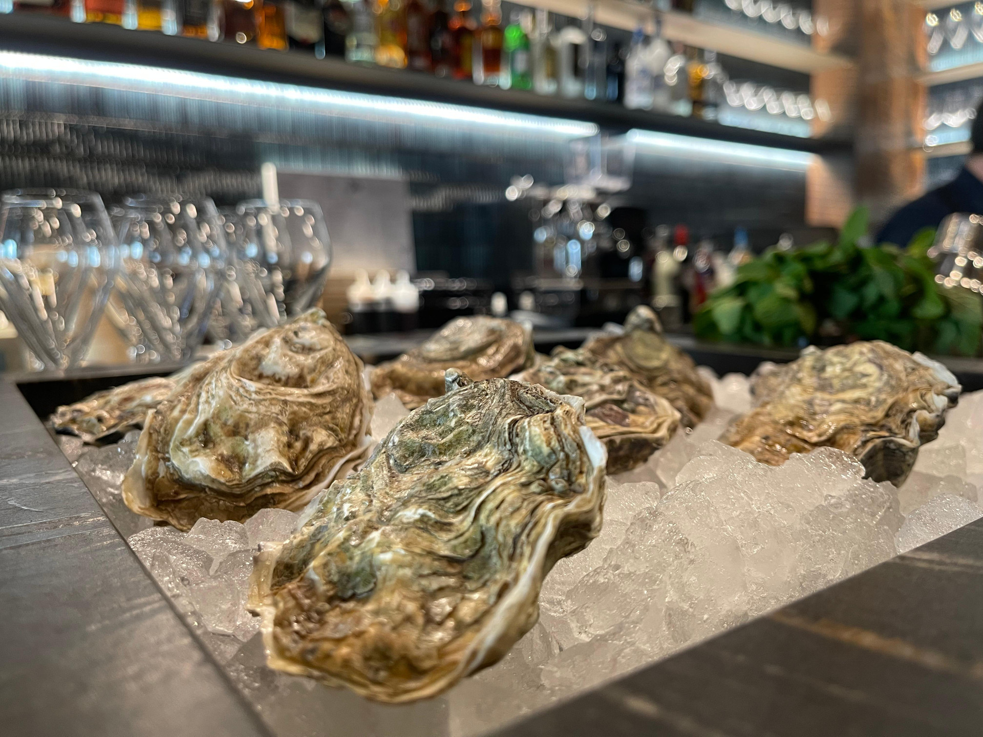 Bar/Salón Hotel Medinaceli