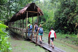 Actividad - Full Day Rio Amazonas & Isla de los Monos