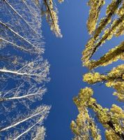 Alquiler Vacacional - Mountain house / cabin private family use uspallata Mendoza 7pax