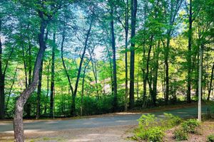 Alquiler Vacacional - Cozy cottage on quiet country road minutes to Lake Chatuge ... BRING YOUR BOAT!