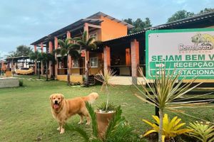 Alojamiento - Camaleao Ecopousada Ltda