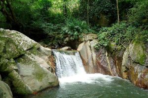 Actividad - Visita a Minca desde Santa Marta