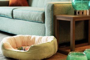 Alojamiento - Home2 Suites By Hilton Pensacola Airport Medical C