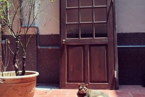 Alojamiento - Originn