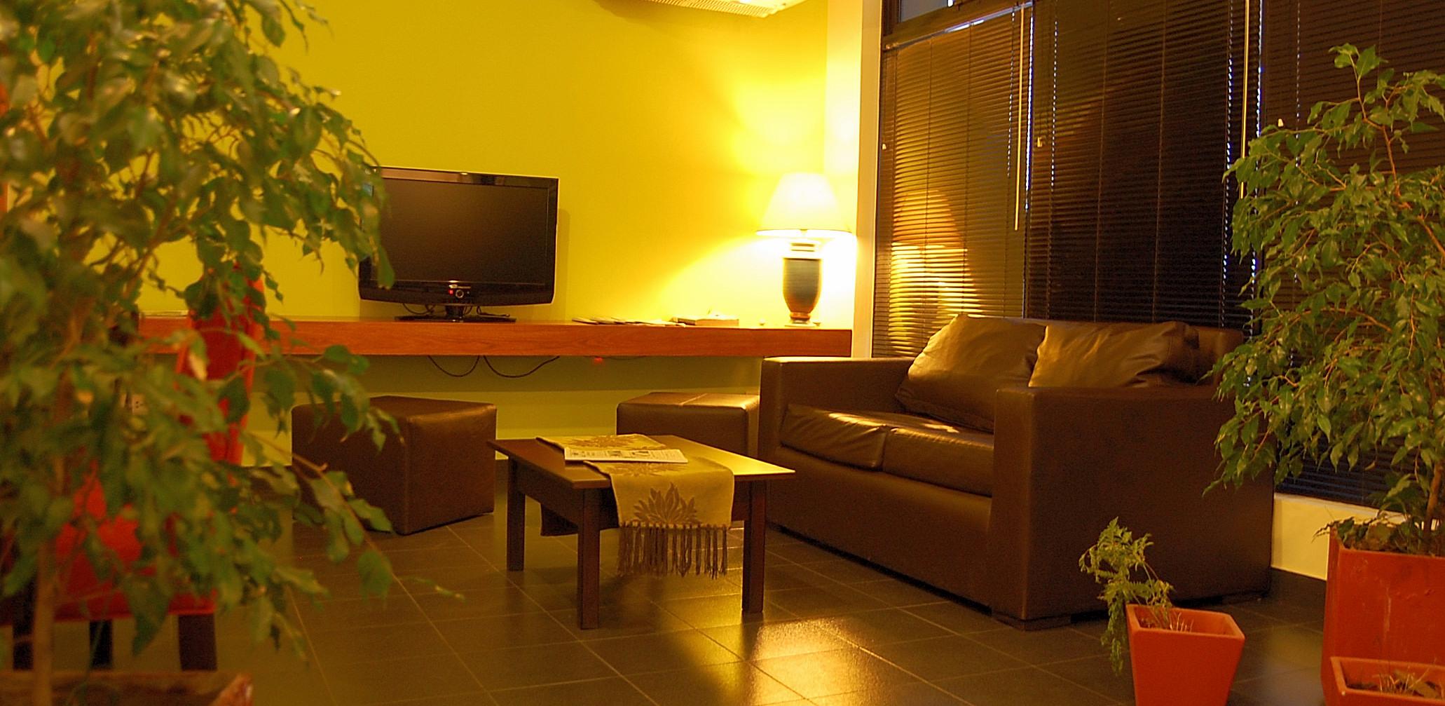 Vista Lobby Hotel San Jose