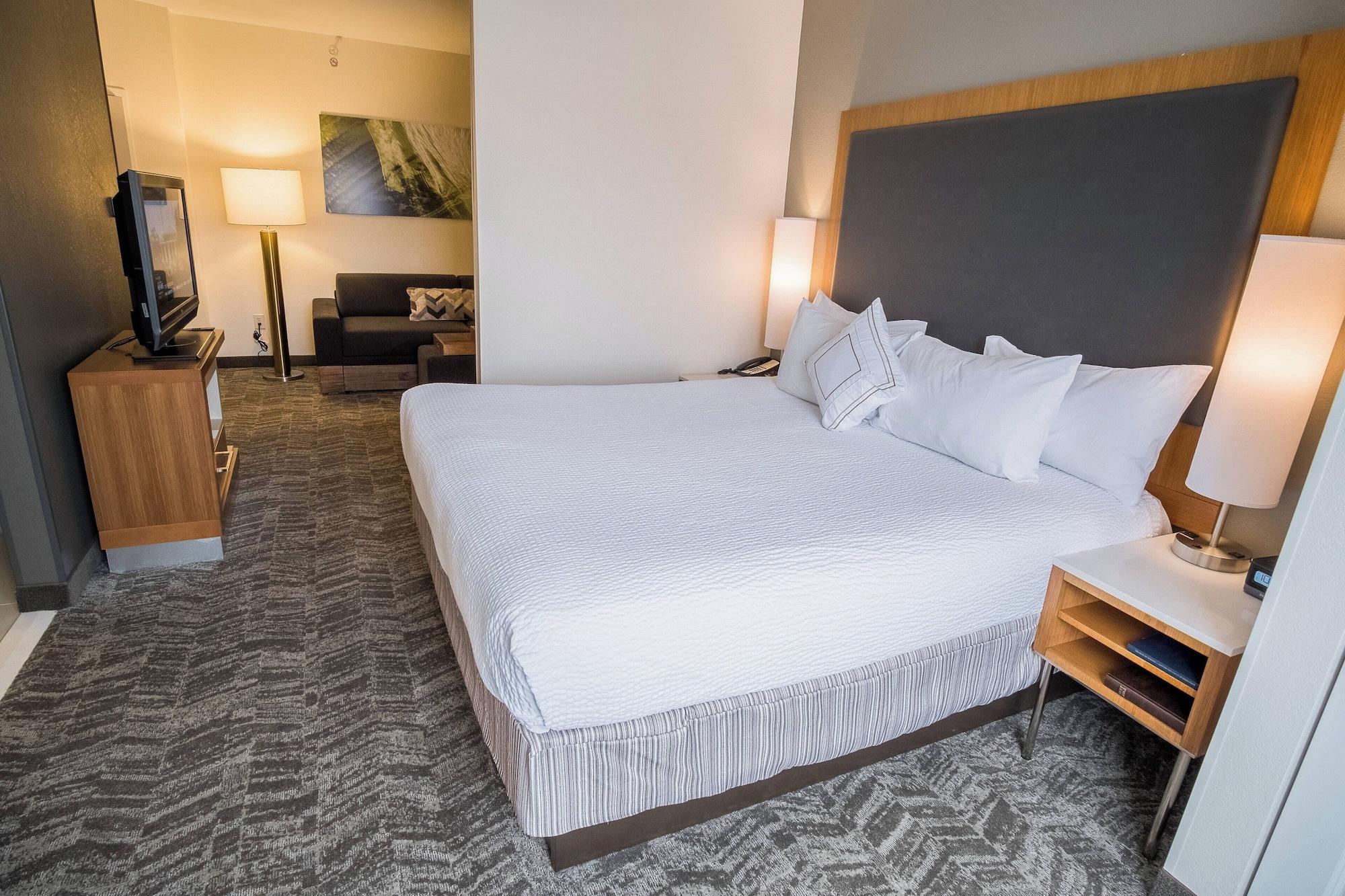 Habitación Springhill Suites by Marriott Winston-Salem Hanes Mall