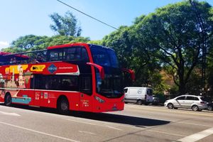 Actividad - Bus turístico - Pase de 24 horas (pasajeros internacionales) 